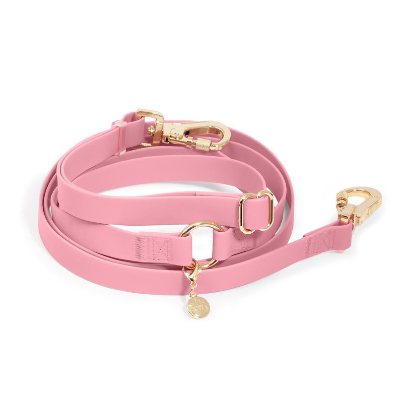 4-In-1 Wide Convertible Hands Free Leash 3/4"