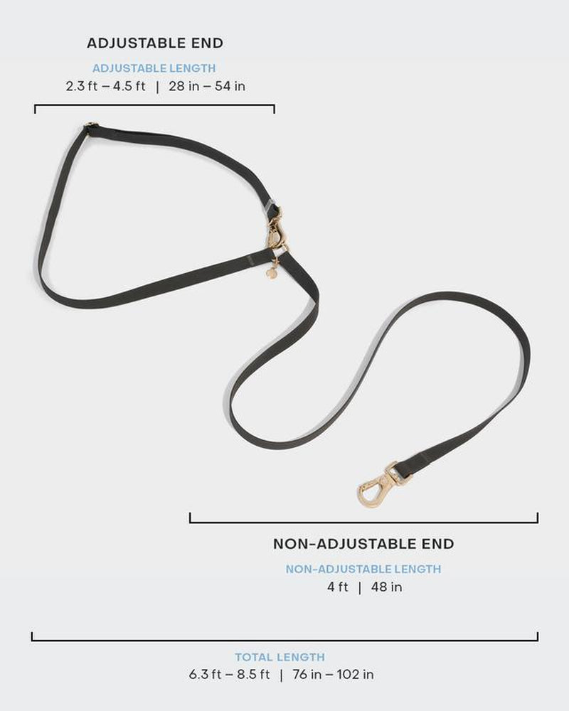 4-In-1 Wide Convertible Hands Free Leash 3/4"
