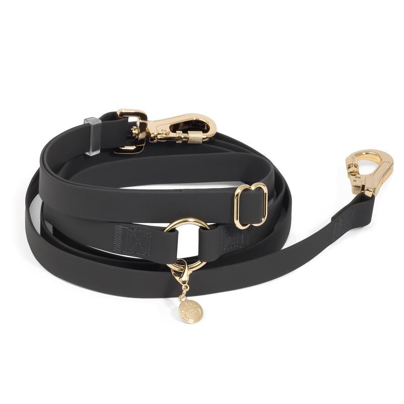 4-In-1 Wide Convertible Hands Free Leash 3/4"