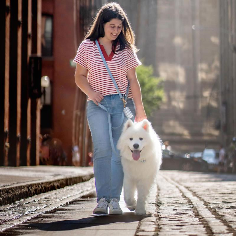 4-In-1 Wide Convertible Hands Free Leash 3/4"