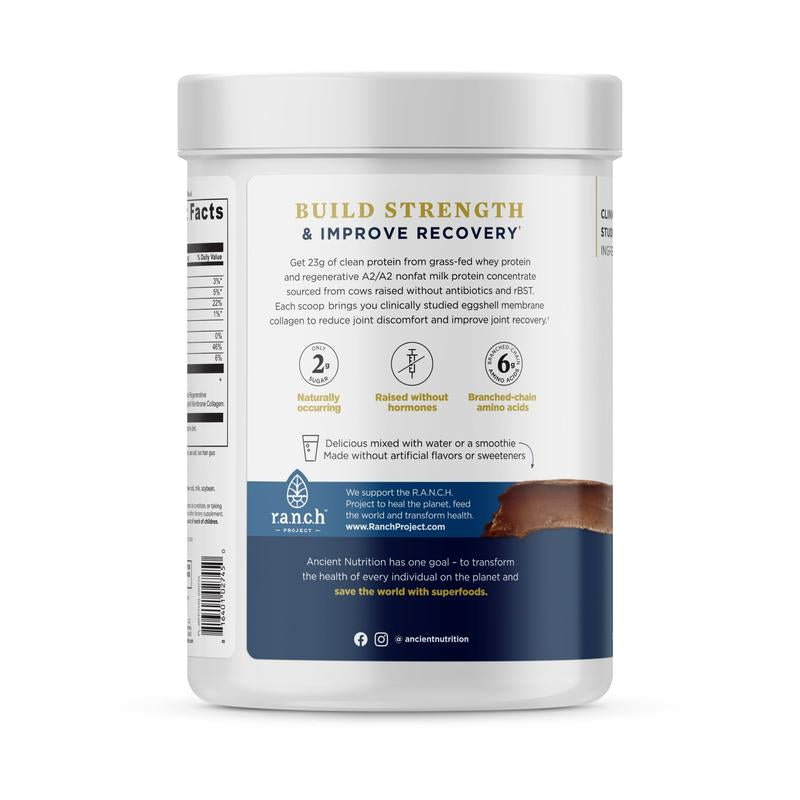 Whey Protein | Powder Chocolate (20 Servings)