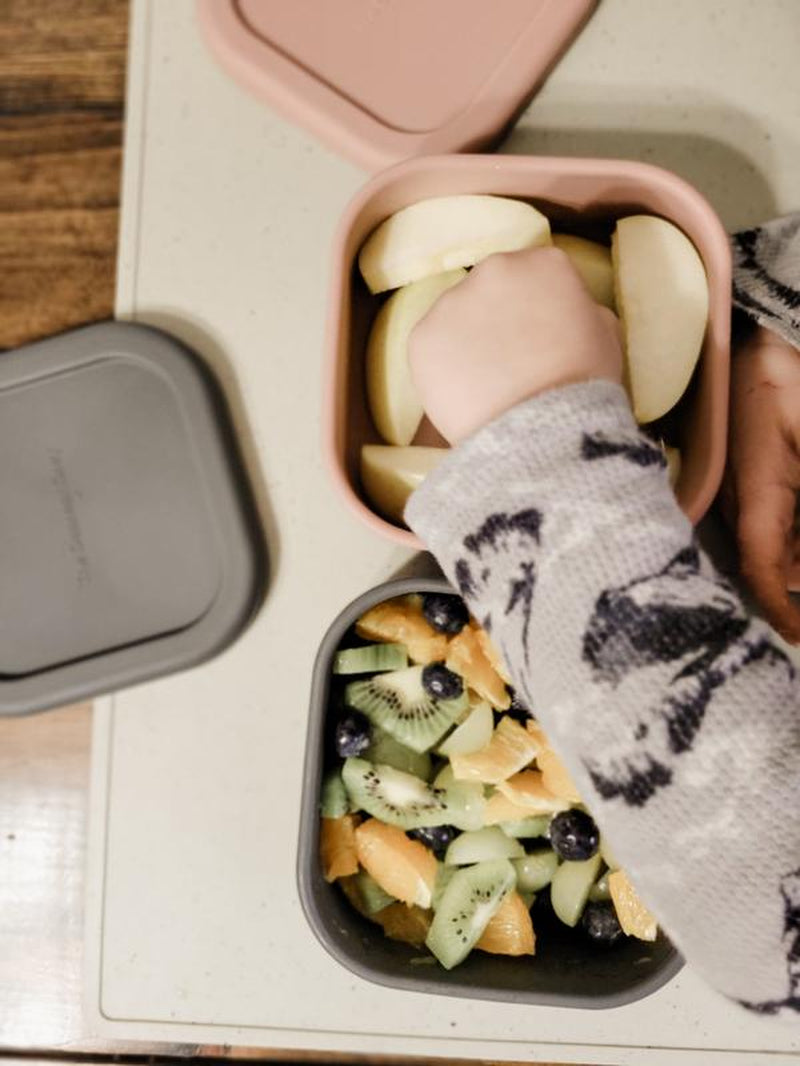 The Dearest Grey Leak Proof Silicone Smalls Bento Lunch Box Microwave and Oven Safe